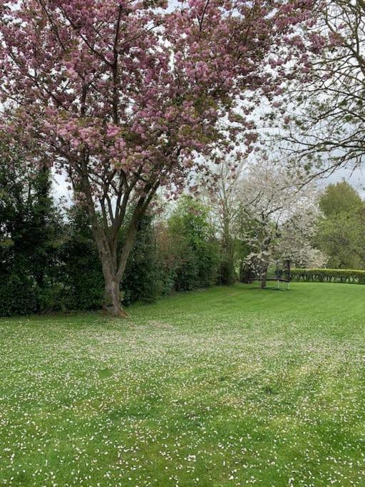 Livry Le Nalousie别墅 外观 照片