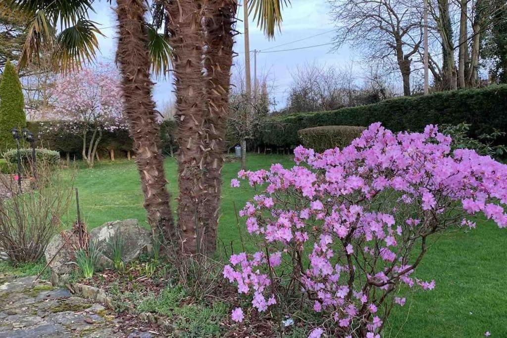 Livry Le Nalousie别墅 外观 照片